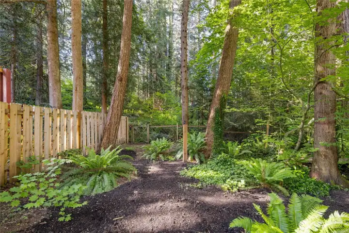The fenced backyard offers room for pets and children to enjoy the outdoor space, with ferns, natural plantings, and a peaceful woodland feel adding to the sense of privacy and discovery.