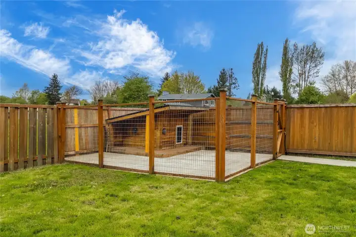 Dog run & kennel