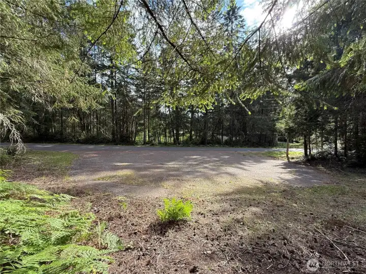 Looking out from the parcel toward lovely Pine Lake Park, just through the trees.