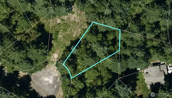 Parcel boundaries.