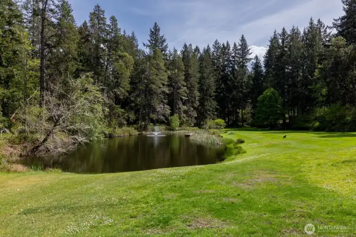 A sweet spot for picnics, tossing a frisbee, or enjoying a quiet moment by the water.