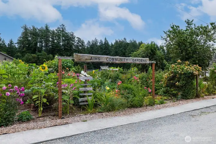 The community gardens at the farm are full of gorgeous blooms in the summer.