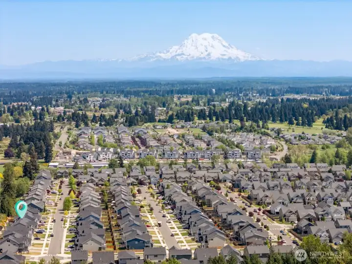 You'll see Mt Rainier in all her glory everytime she's out! Bigger than life.