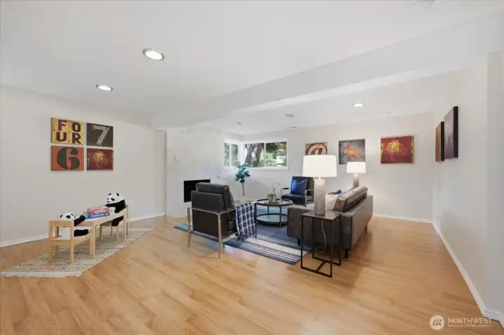 Huge basement bonus room