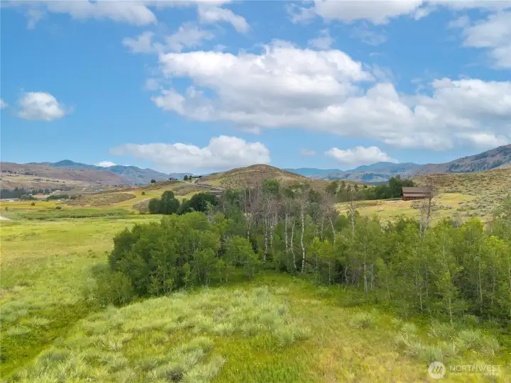 Aspen groves, open meadows & abundant wildlife create a landscape in harmony with the natural beauty of the property.