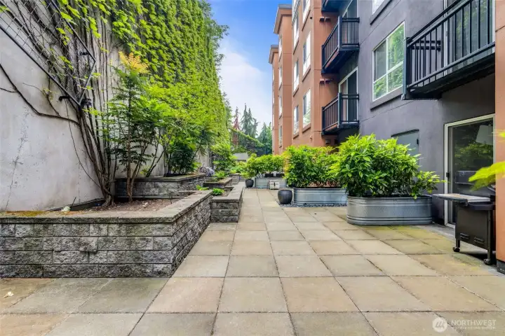 Shared courtyard. Shared courtyard.