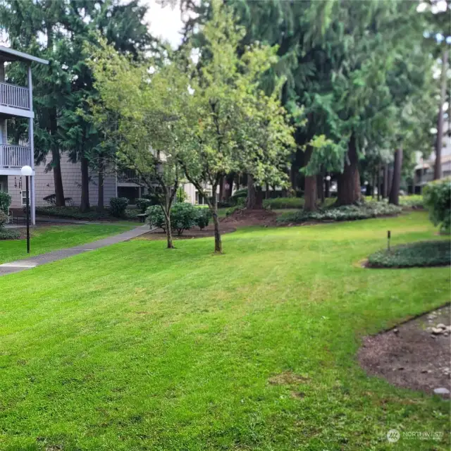 Tranquil parklike environment.
