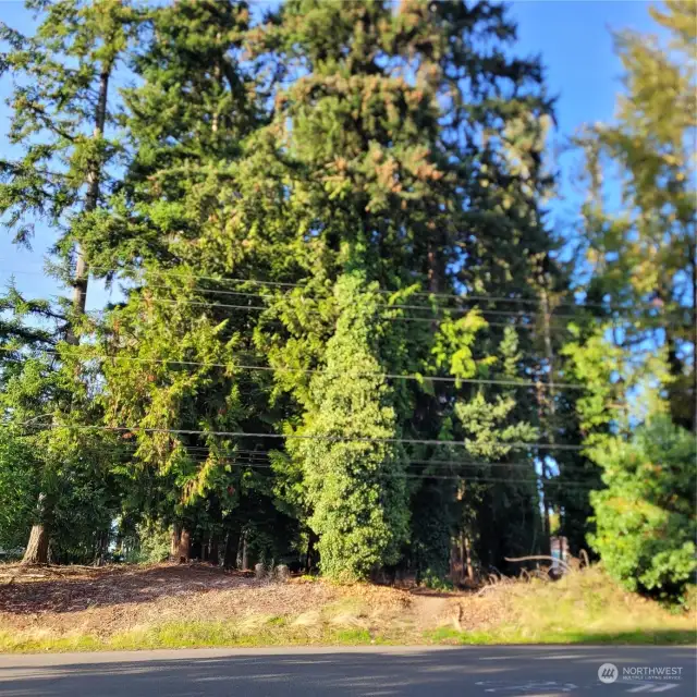 Wooded area across the street from the complex adds to the peaceful nature environment.