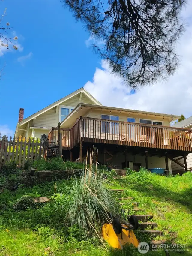 view from creek & back yard