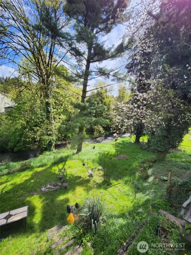 back yard with creek