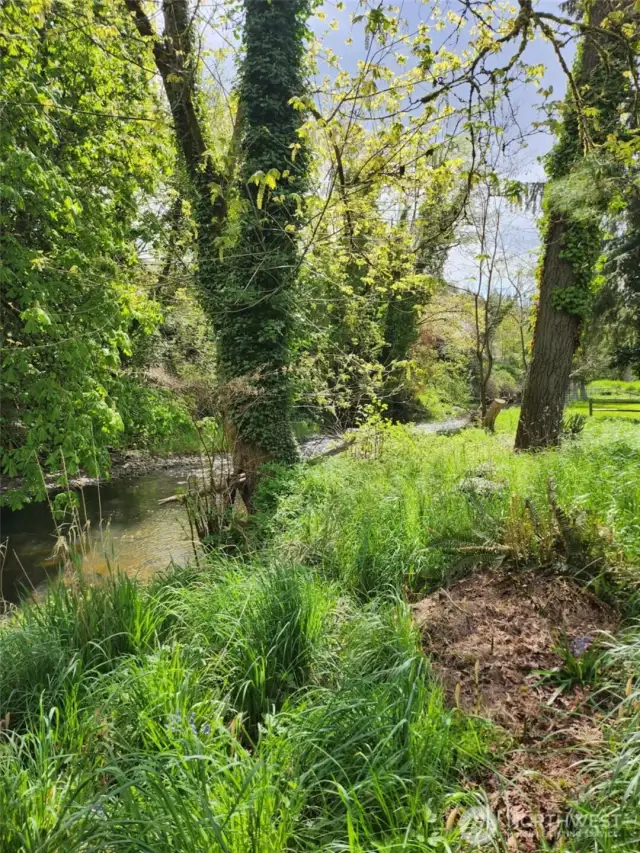 creek