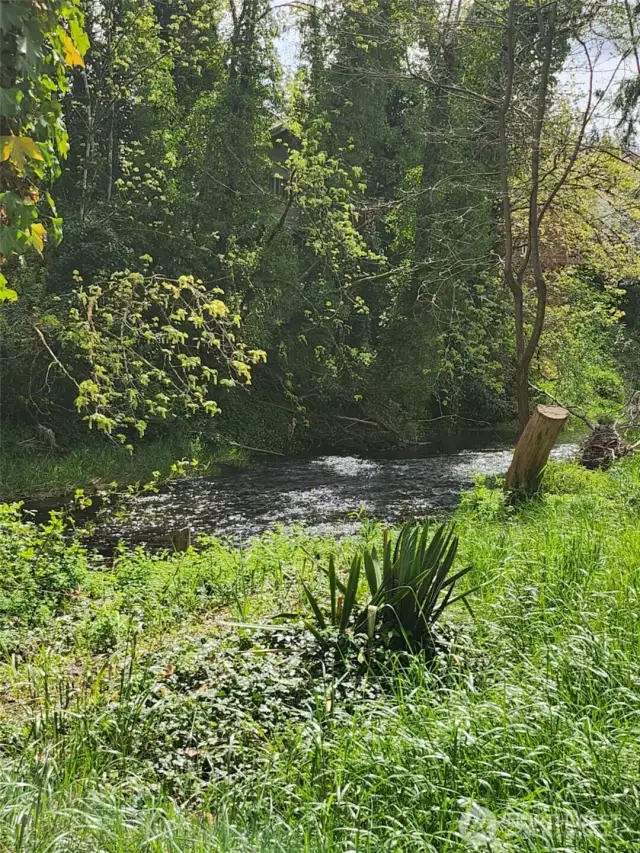 creek
