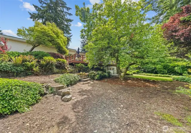 Large, fenced back yard.