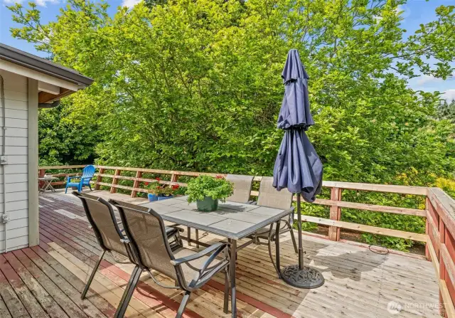 Big, back deck for outdoor relaxation and dining.