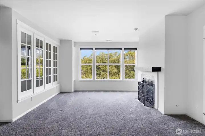 Living Room Has Gas Fireplace and Wonderful Windows Looking Out to the Park and City