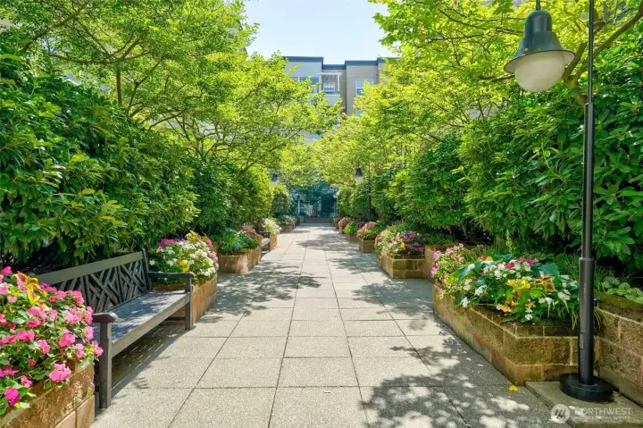 Relax in the Beautiful Courtyard