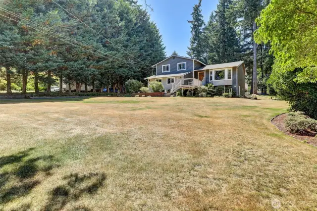 Front Yard
