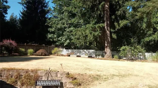 Back yard with raised garden beds, blueberry bush in the conner.