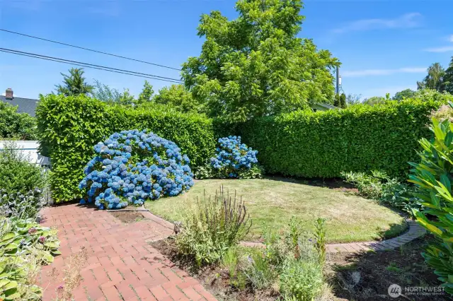 Gardener's delight.