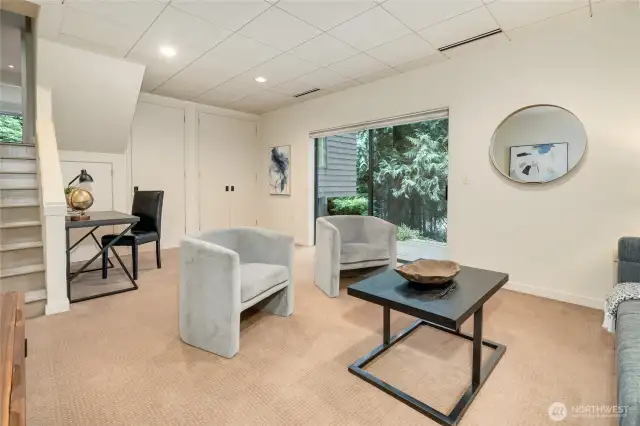Downstairs Rec Room