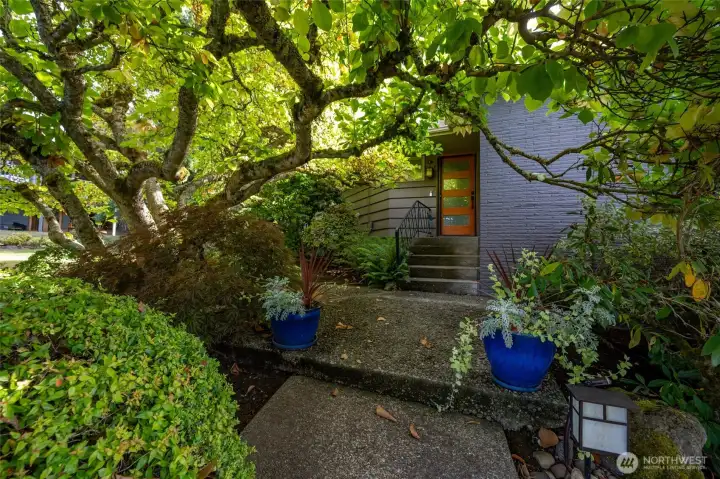 A magnolia canopy frames the front steps and the beautiful front door welcomes you in to this magical home.