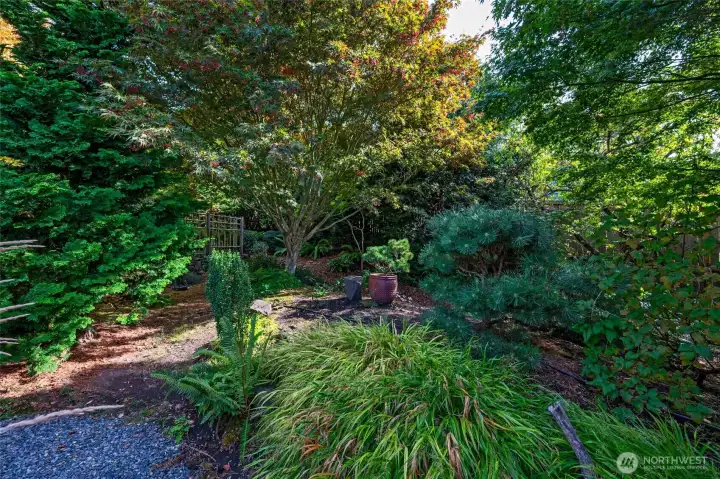 This garden was designed by a landscape architect and is lush and mature!