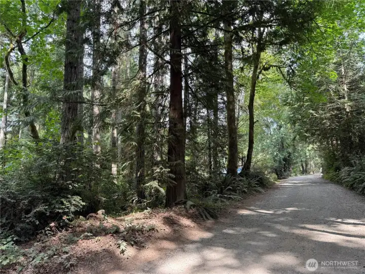 Property to left of road