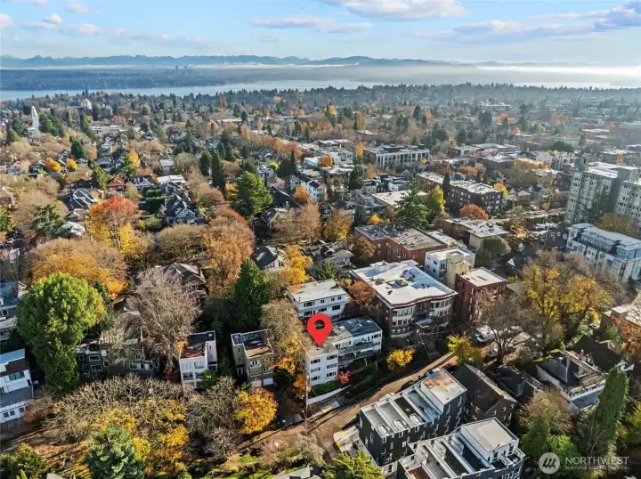 Prime Capitol Hill location – Steps from Volunteer Park, transit, restaurants & shops.