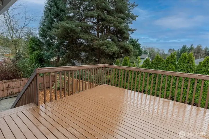Deck Directly Off the Dining Room with stair way leading to back yard