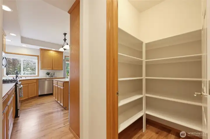 Very large walk-in pantry as part of the butler's pantry.