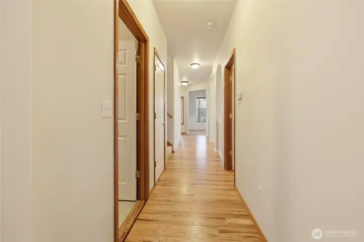 The first door on your left leads to the laundry room. The second door on your left opens to the most spacious understair closet you will ever see!! Perfect for storage, this closet makes complete use of the entire space under the stairs. How useful! The central vacuum controls live here as well. The door on your right leads to the powder room. Continue all the way down the hall to access the stairwell, dining room, family room, office, and finally the front door.