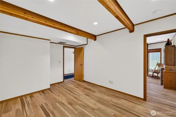 Spacious ower  level "flex" room has two doors.