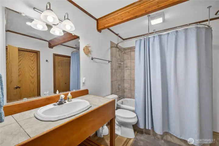 Full bath in lower level has claw foot tub & shower.