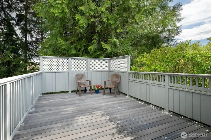 Large deck off kitchen for BBQs, gatherings, and container gardens