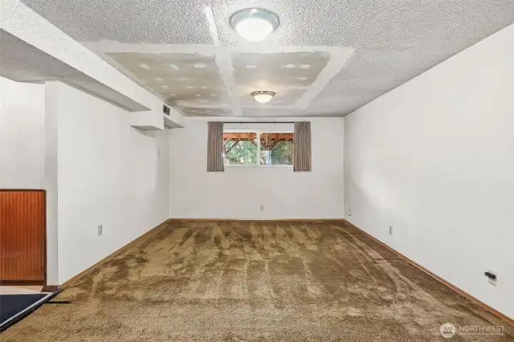 Downstairs Family Room, looking towards back of home