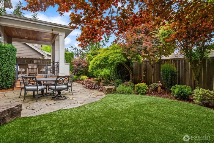 backyard view
