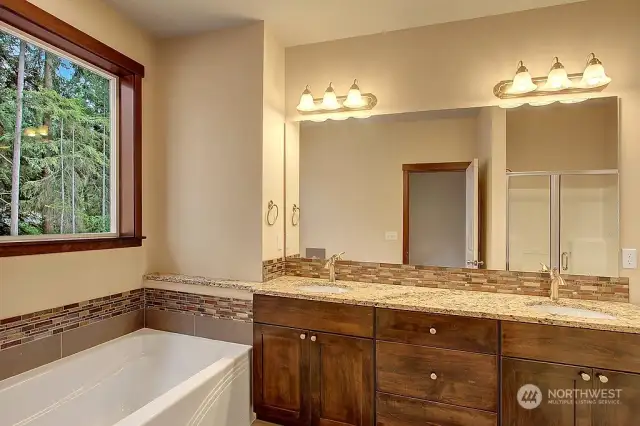 master bathroom (reference only)