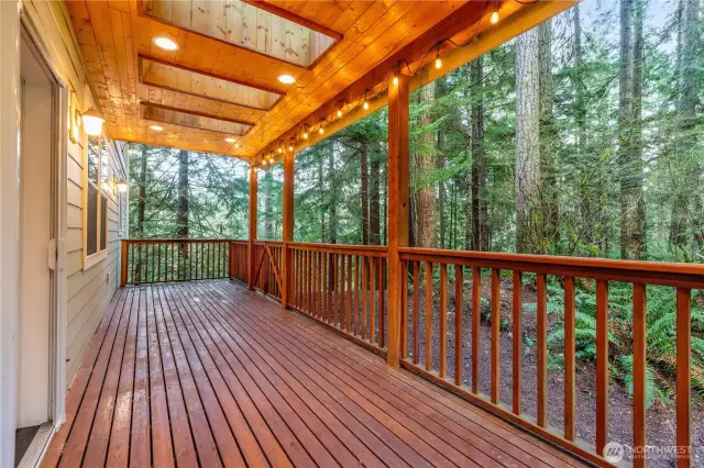 Fabulous deck with skylights