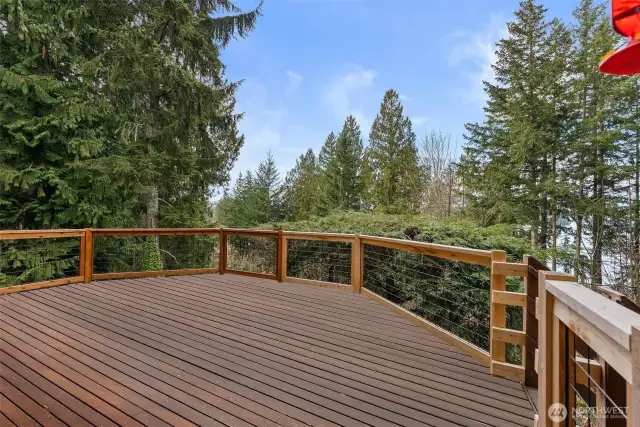 Deck recently re-painted. Paint in Picture is photoshopped