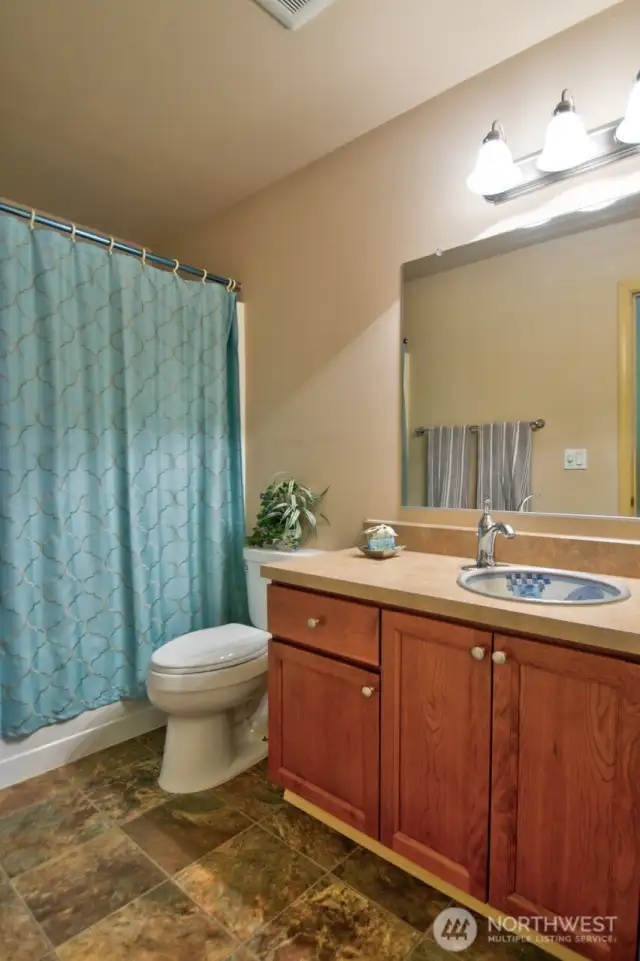 Hall bathroom