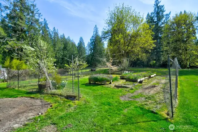 Fenced off garden area with raised garden beds.
