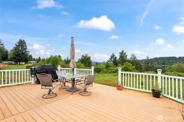 Not only does this deck allow for easy entertaining but there's plenty of yard on this property to roam and play, too!