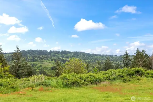 Enjoy peaceful days with this lush greenbelt as your main view! No noise, no problem!