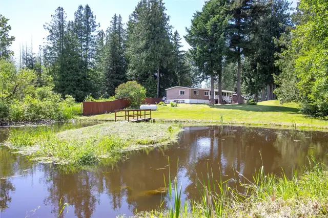 Wildlife Pond