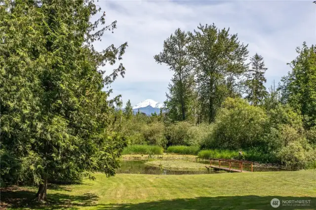Mount Baker!
