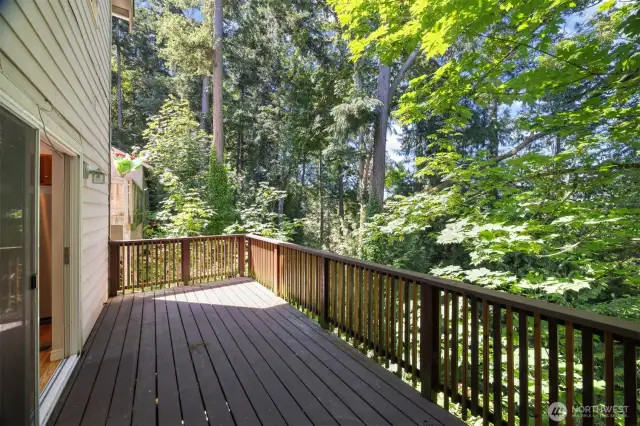 The deck runs the full width of the house and looks out to the trees to the west.