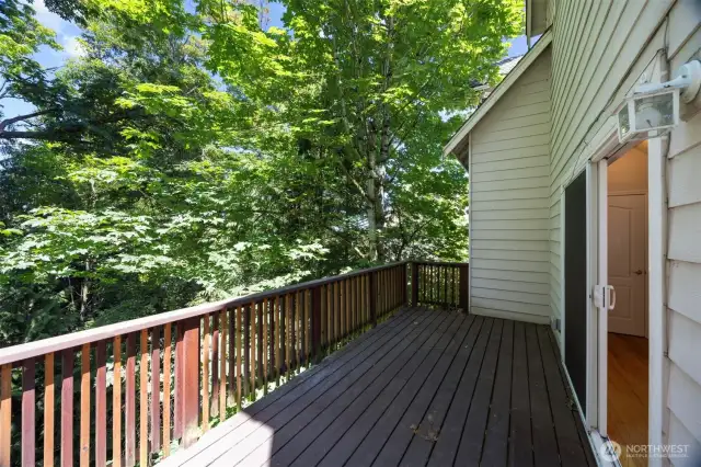 The sunsets from the deck would be awesome (more so in the winter when the leaves have fallen).