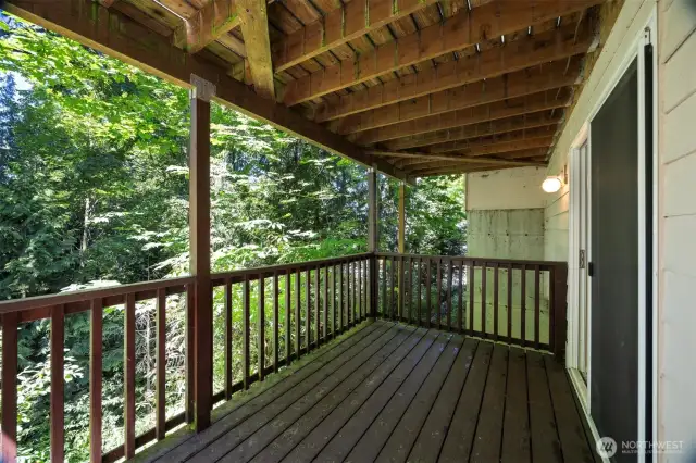 The lower deck off the family room.