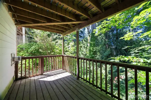 Another view of the lower deck surrounded by trees for privacy.