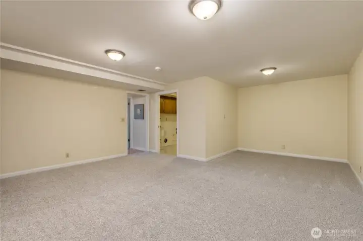 Large bonus room in the basement